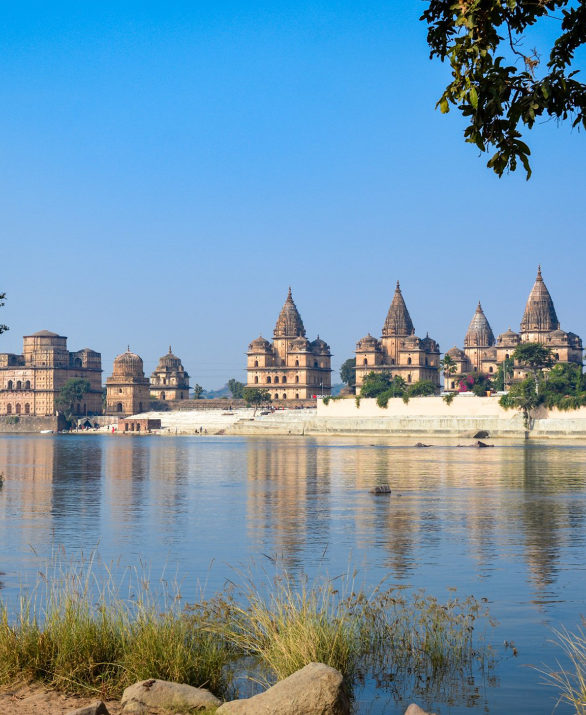 ORCHHA