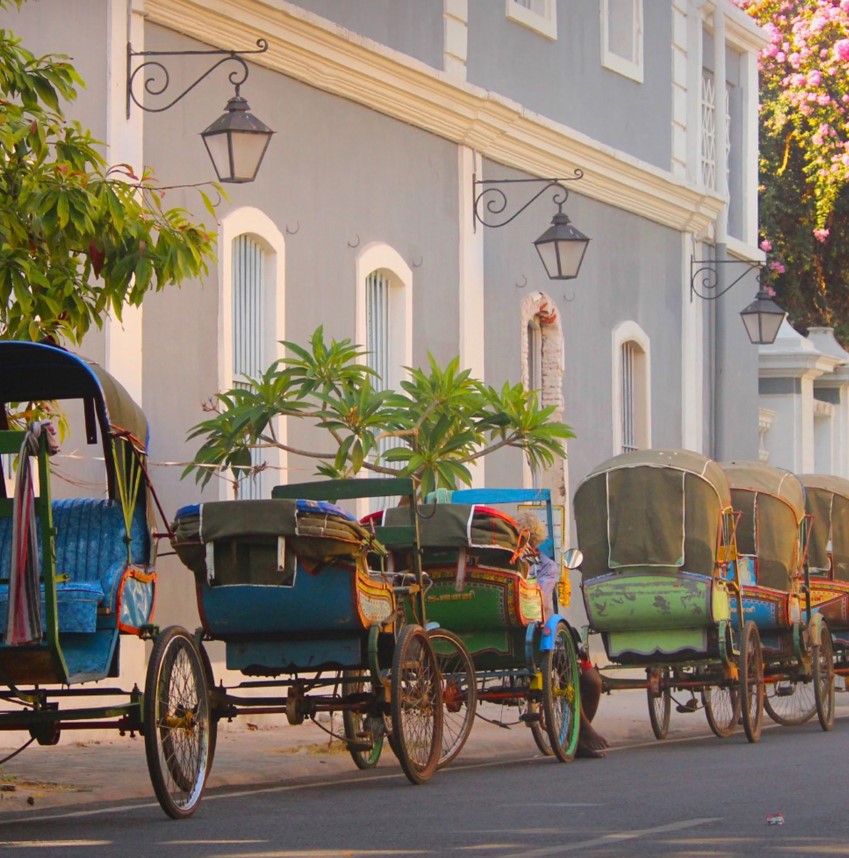 LA DIVERSITÉ DE  L’INDE DU SUD 