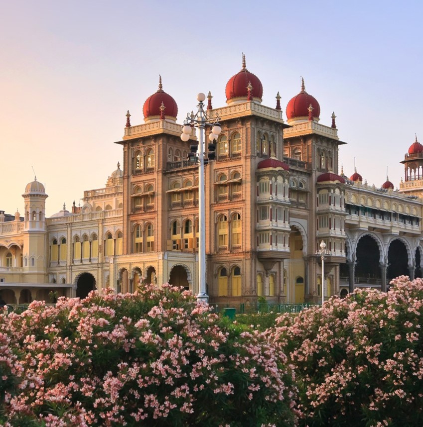  LA DIVERSITÉ DU KARNATAKA 